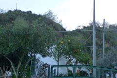 image015