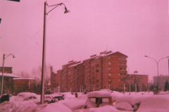 image004