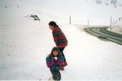 FluelaPass