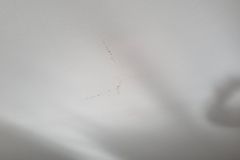 Allagamento soffitto salone