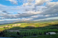 Volterra