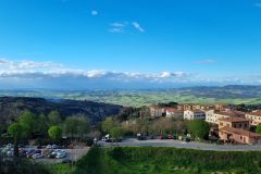 Volterra