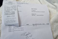 Frantoio Pian de Gelsi