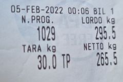 Frantoio Pian de Gelsi
