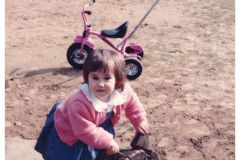 image003