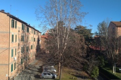 Bologna via Lombardia via Po