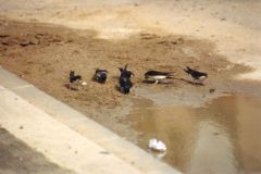 image020