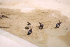 image022