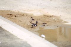 image023