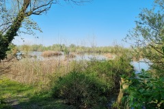 Valle-Boscosa