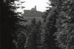 image020