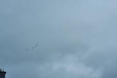1_20230307_130919