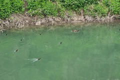 Canale Navile Ponte-della-bionda