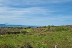 Poggi di Montecatini costa tirrenica