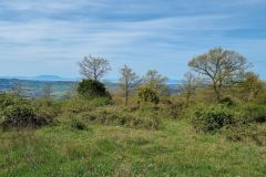 Poggi di Montecatini costa tirrenica