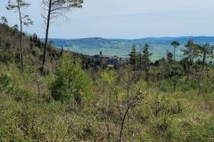 Poggi di Montecatini Volterra