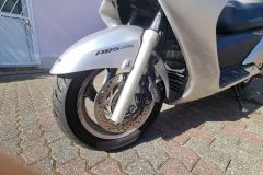 Silver Wing 600