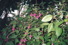 image074
