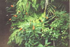 image079