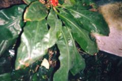 image086