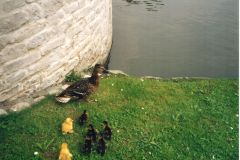 image125
