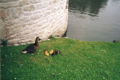 image143