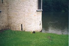 image335