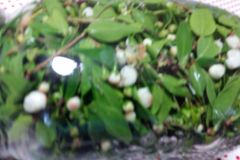 image010