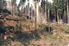 image007
