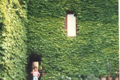 image008
