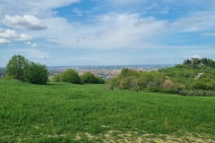 Bologna dai Colli bolognesi