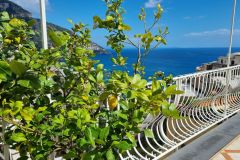Florida Residence Positano