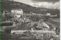 1_19700119_Gibellina_5