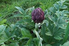 image010