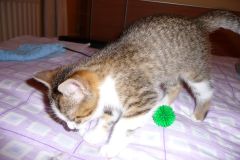 image021