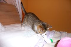 image024