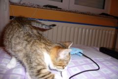image029