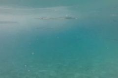Milos_09_2017