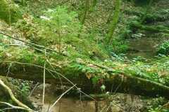 Mullerthal