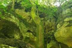 Mullerthal