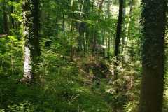 Mullerthal