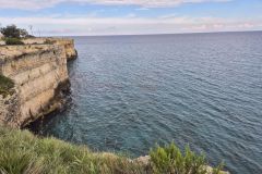 Torre dell