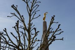image018
