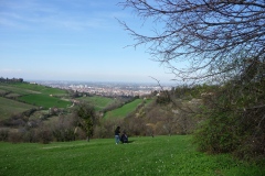 P1010172 Colli Bolognesi