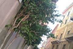 IMG-20190930-WA0009